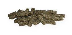Vita-Horse-korrel-7773.jpg